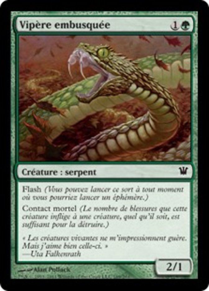 image Vipère embusquée