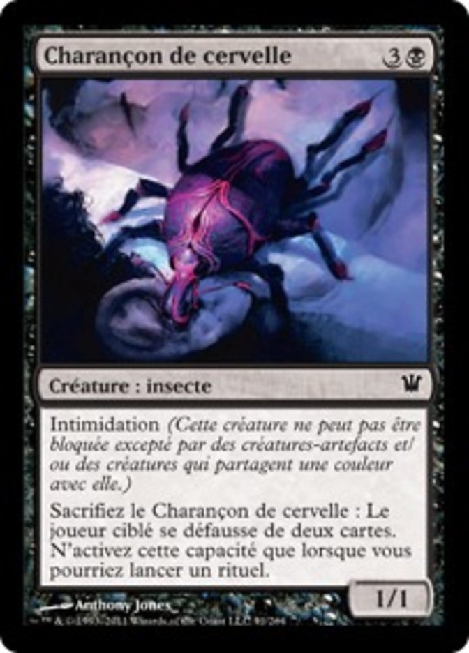 image Charançon de cervelle