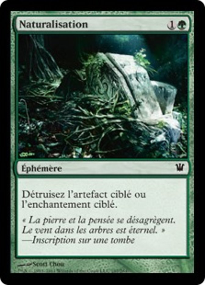 image Naturalisation