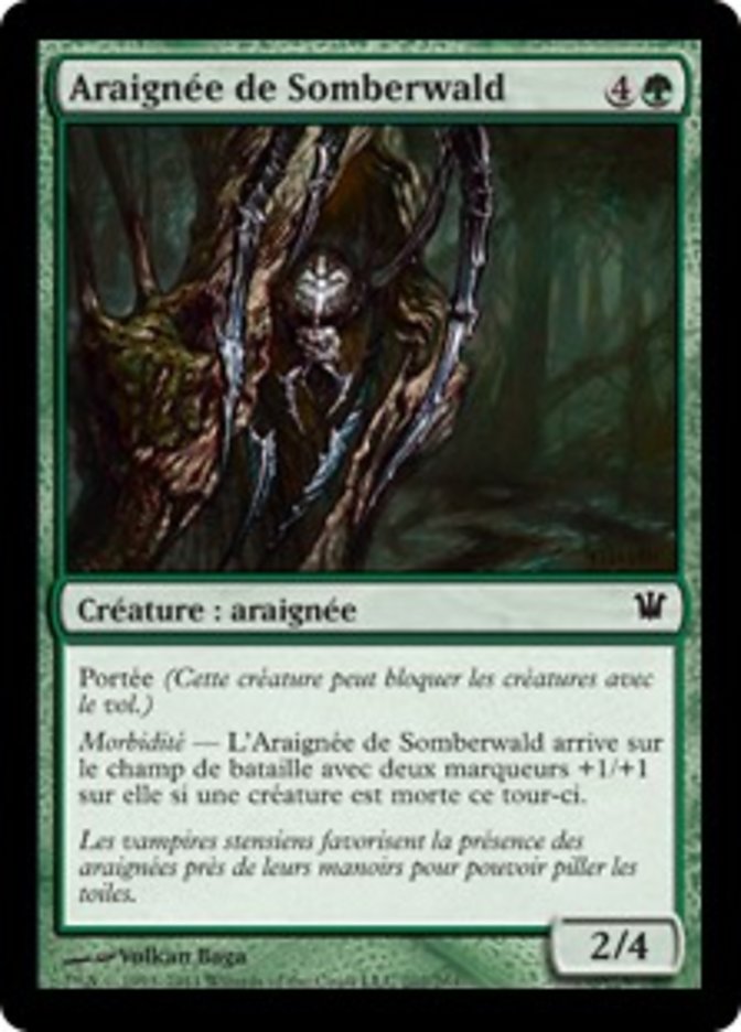image Araignée de Somberwald