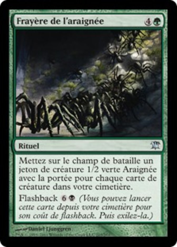 image Frayère de l'araignée
