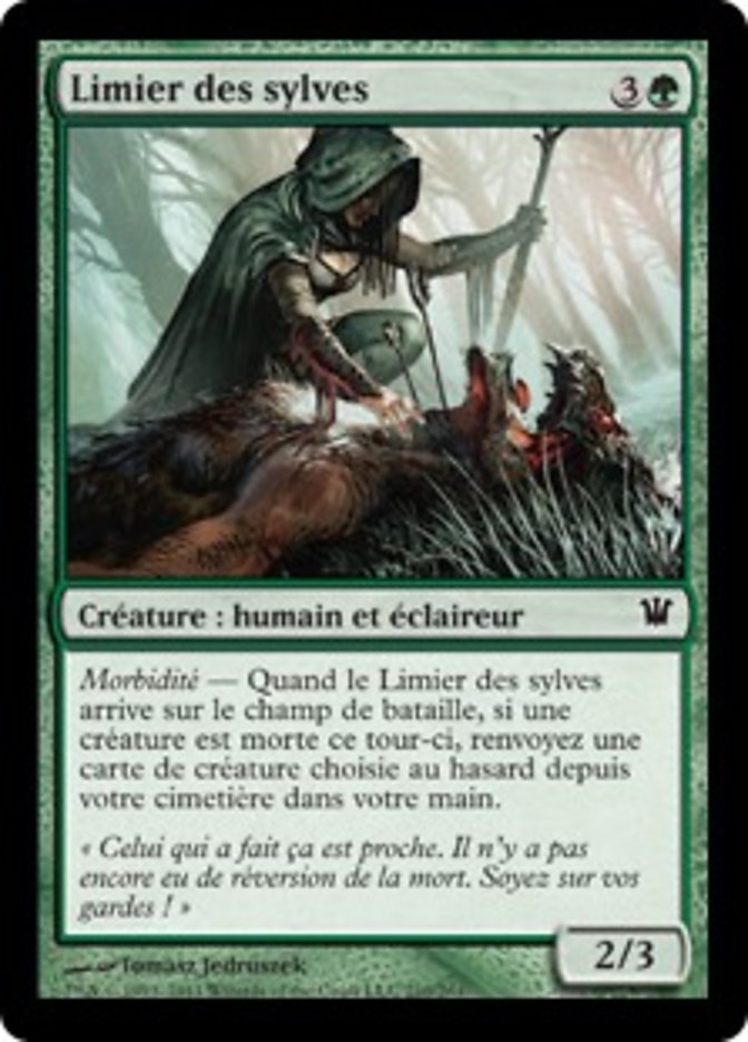 image Limier des sylves