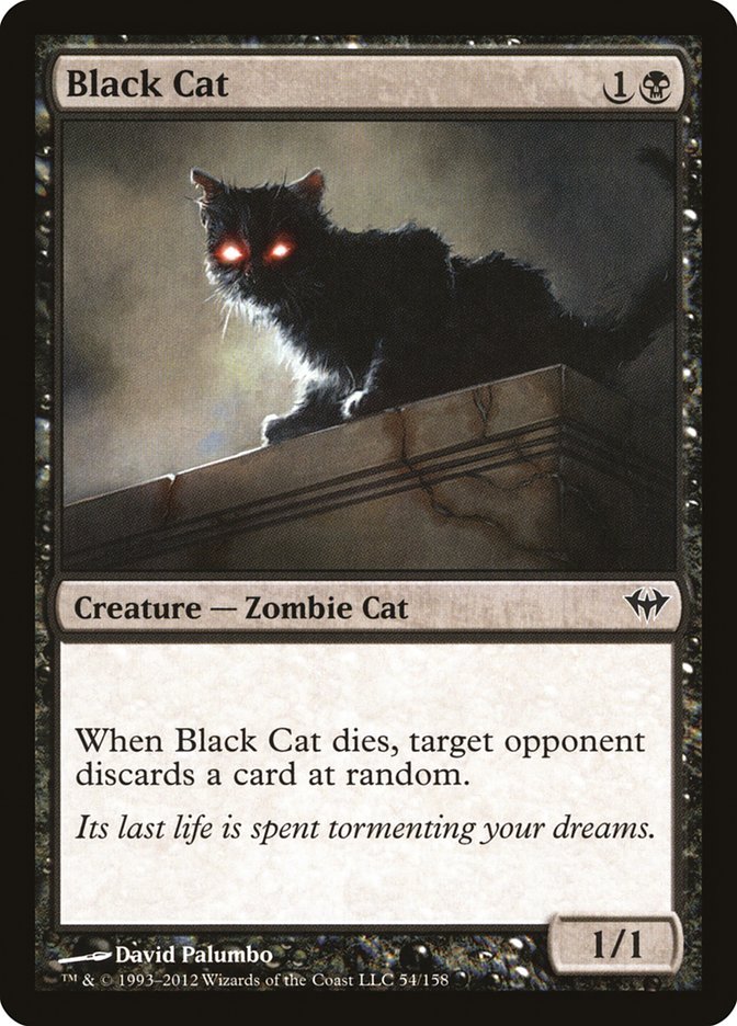 image Black Cat