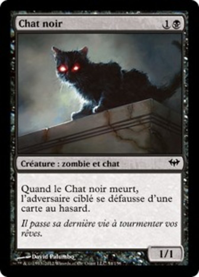image Chat noir