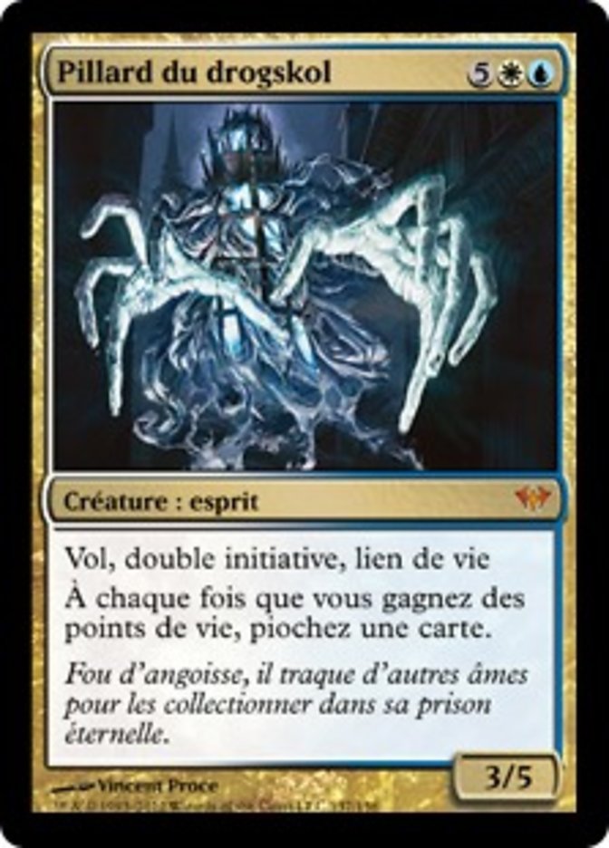 image Pillard du drogskol