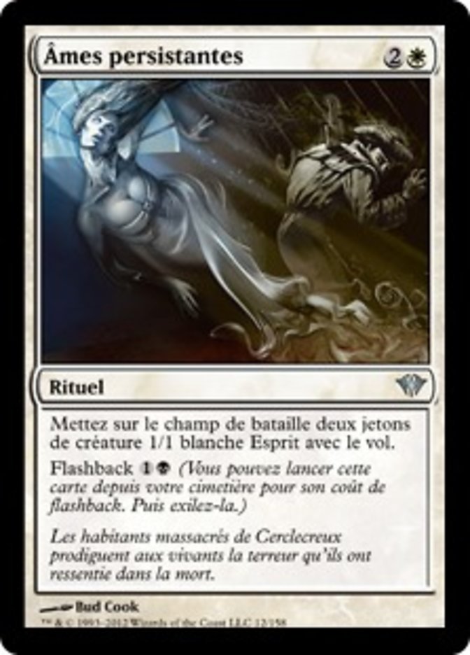 image Âmes persistantes