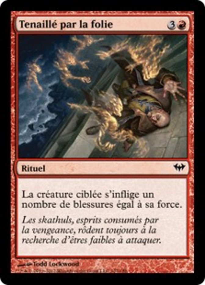 image Tenaillé par la folie