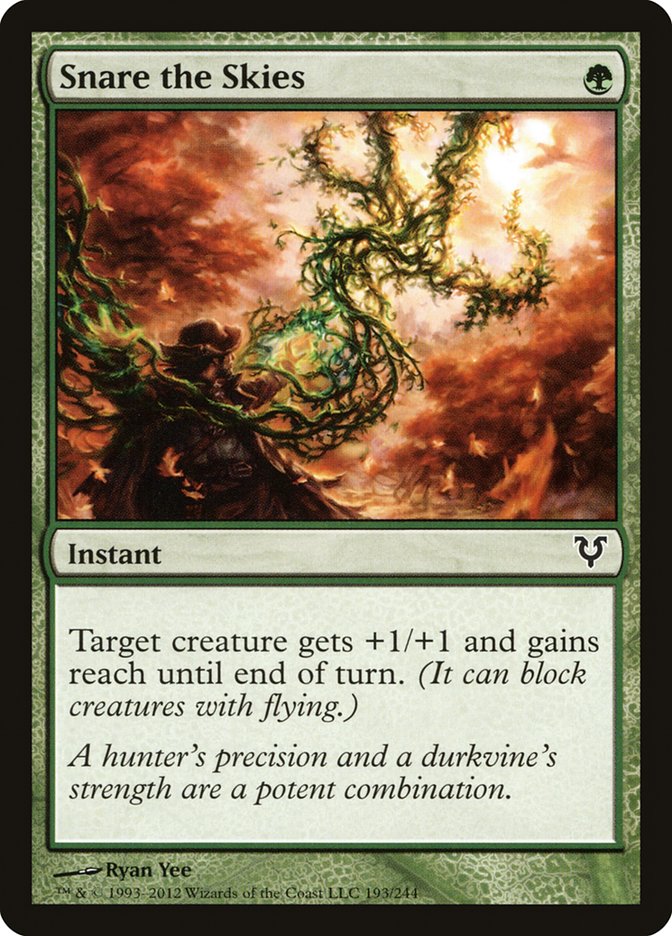 image Snare the Skies