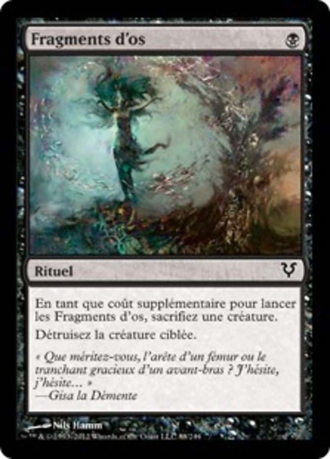 image Fragments d'os