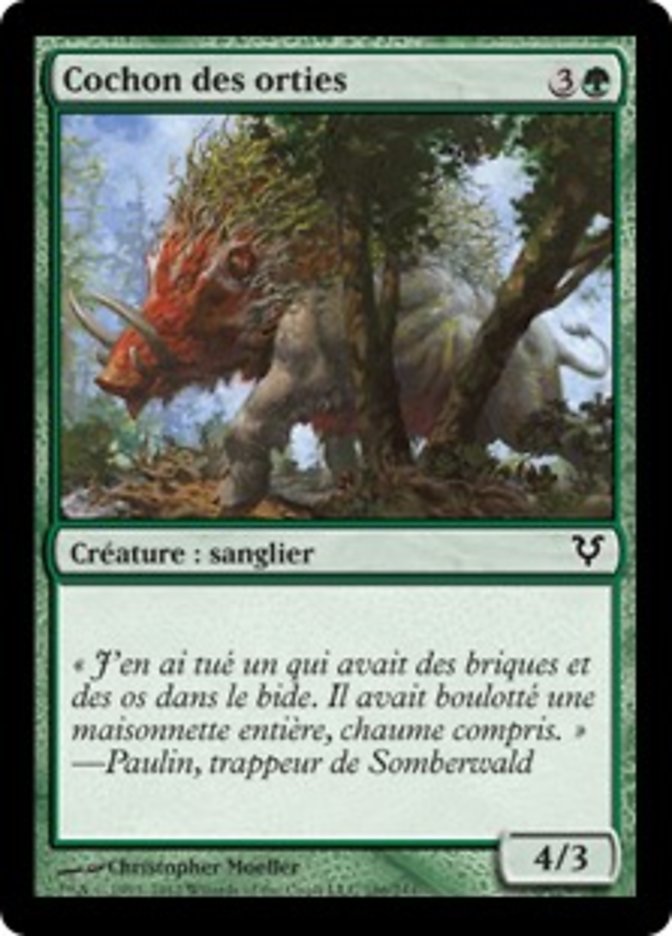 image Cochon des orties