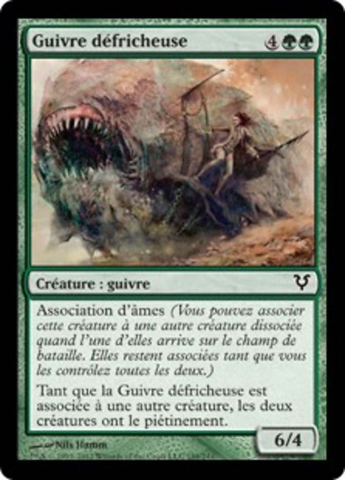 image Guivre défricheuse