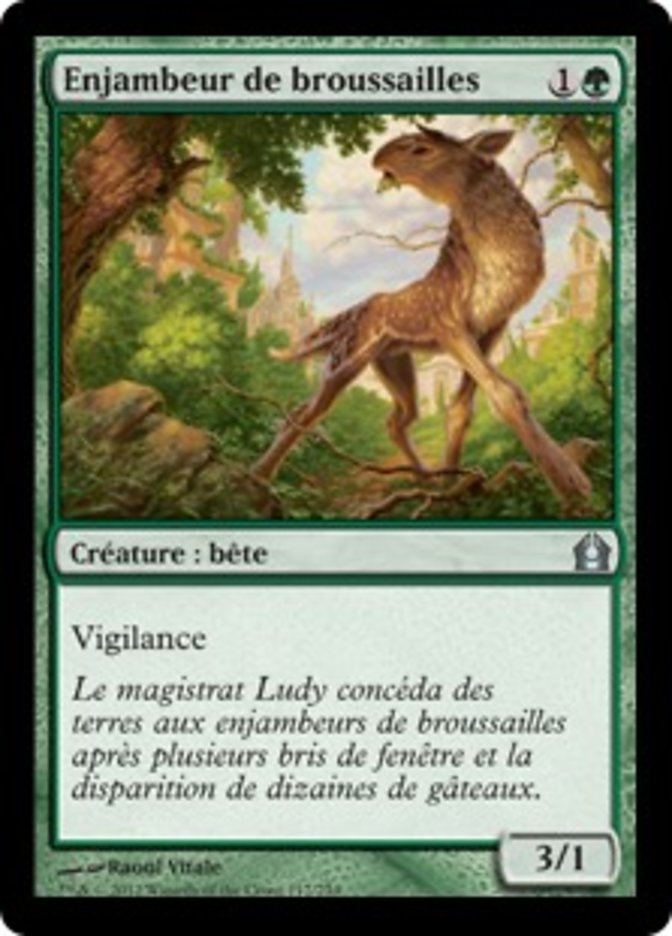 image Enjambeur de broussailles