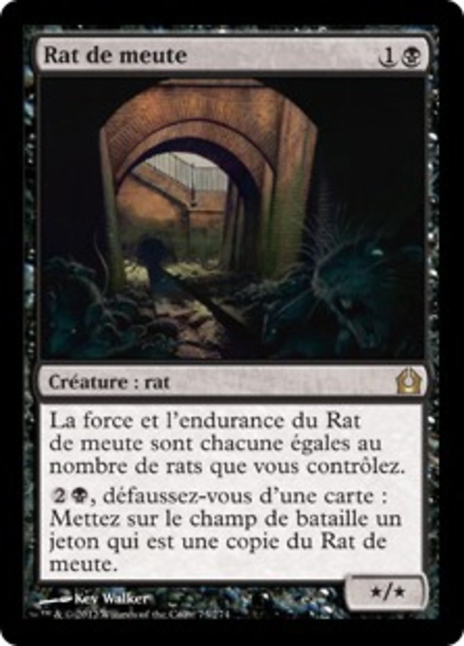 image Rat de meute