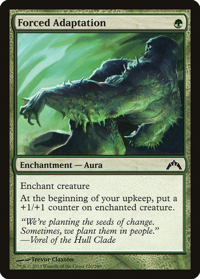 image Forced Adaptation