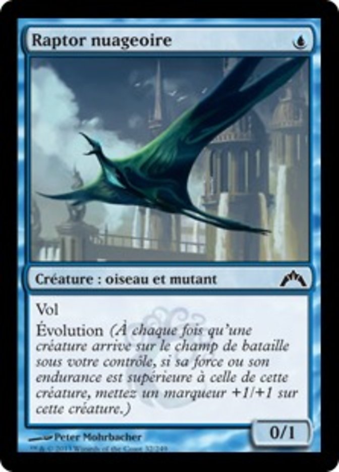 image Raptor nuageoire