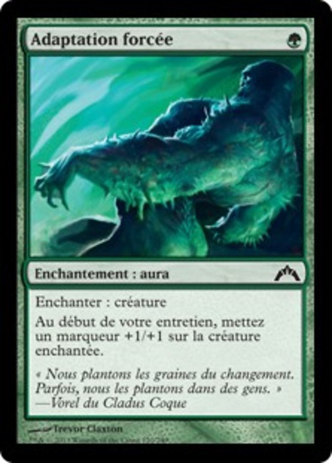 image Adaptation forcée