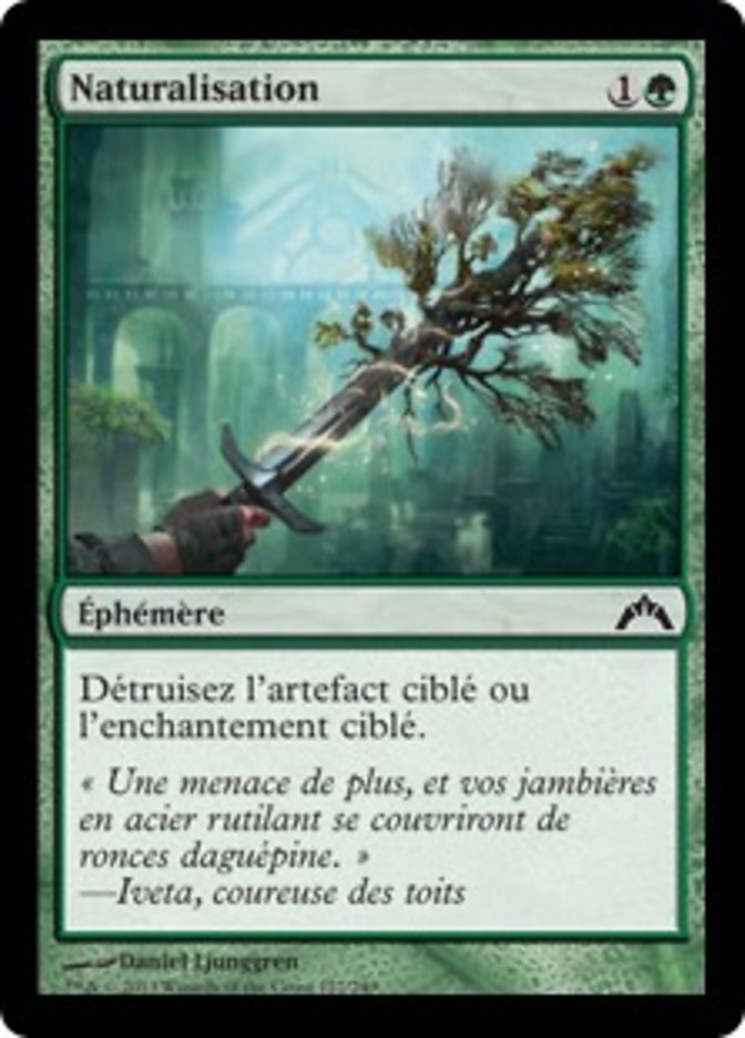 image Naturalisation