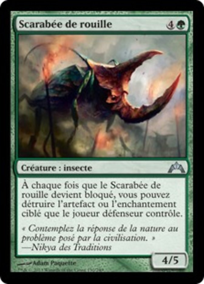 image Scarabée de rouille