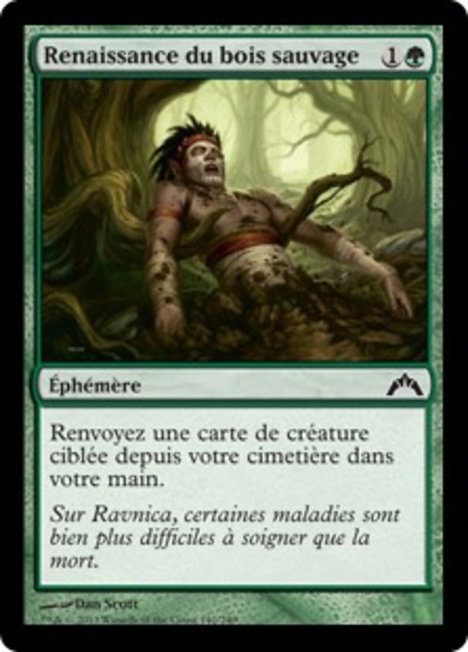 image Renaissance du bois sauvage