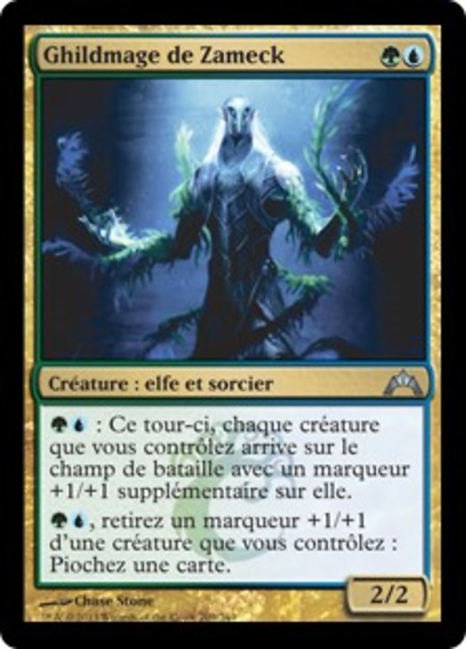 image Ghildmage de Zameck