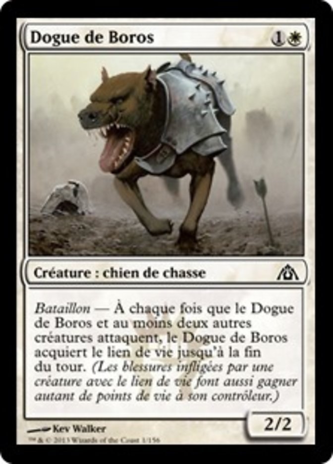 image Dogue de Boros
