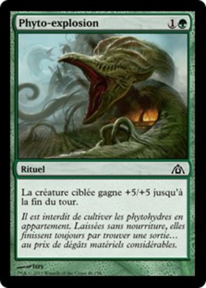 image Phyto-explosion