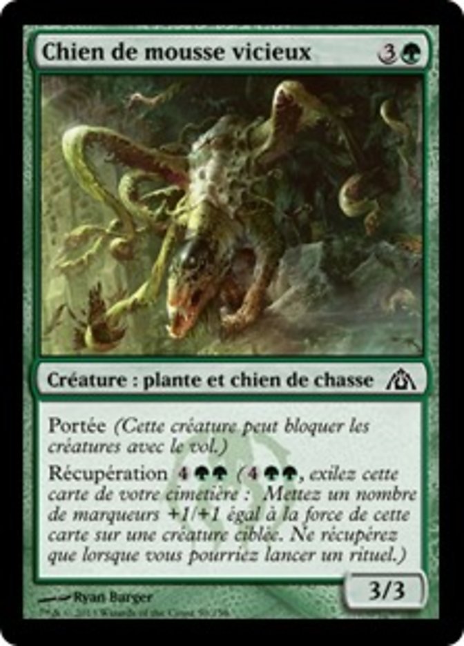 image Chien de mousse vicieux