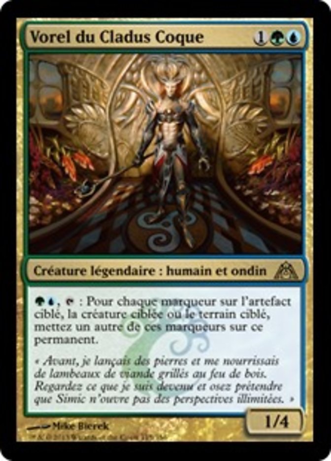 image Vorel du Cladus Coque