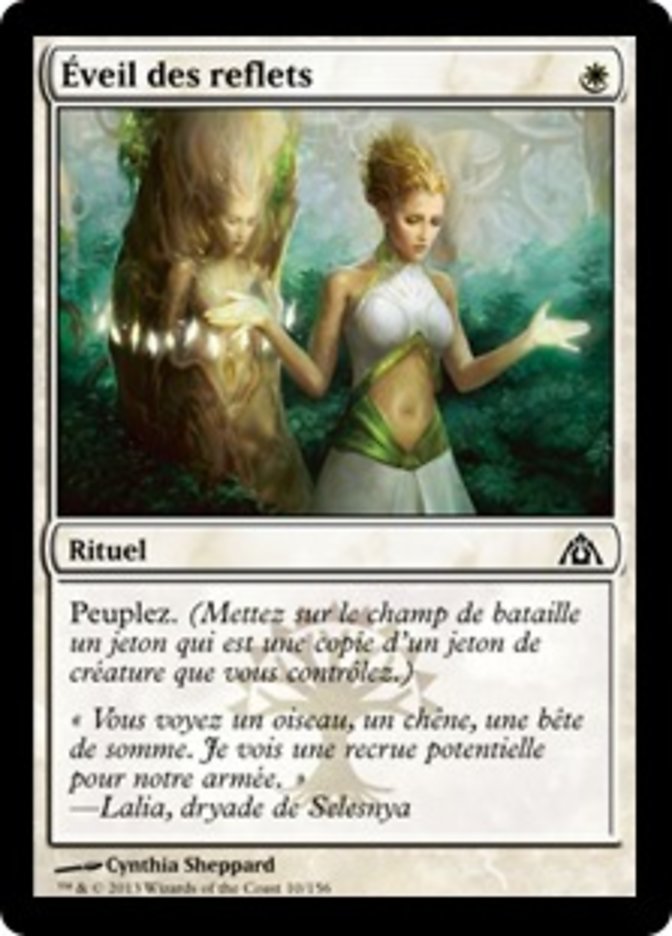 image Éveil des reflets