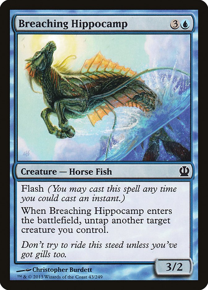 image Breaching Hippocamp