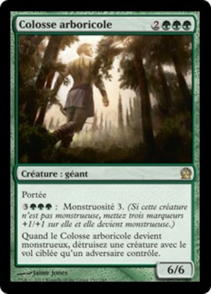 image Colosse arboricole