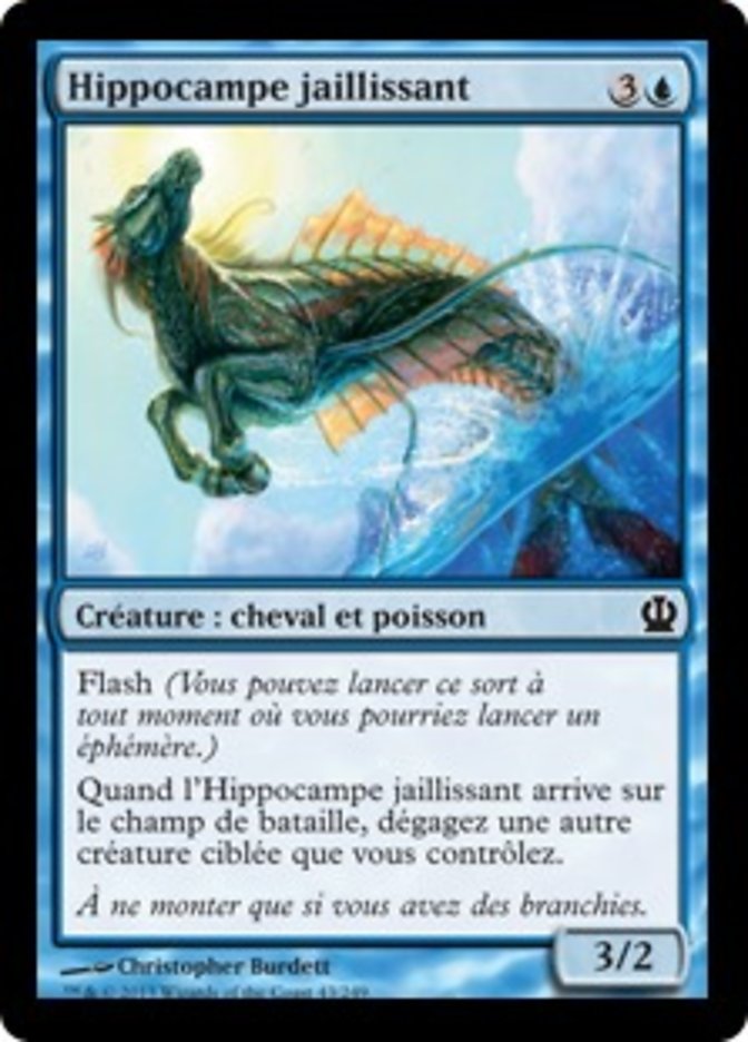 image Hippocampe jaillissant