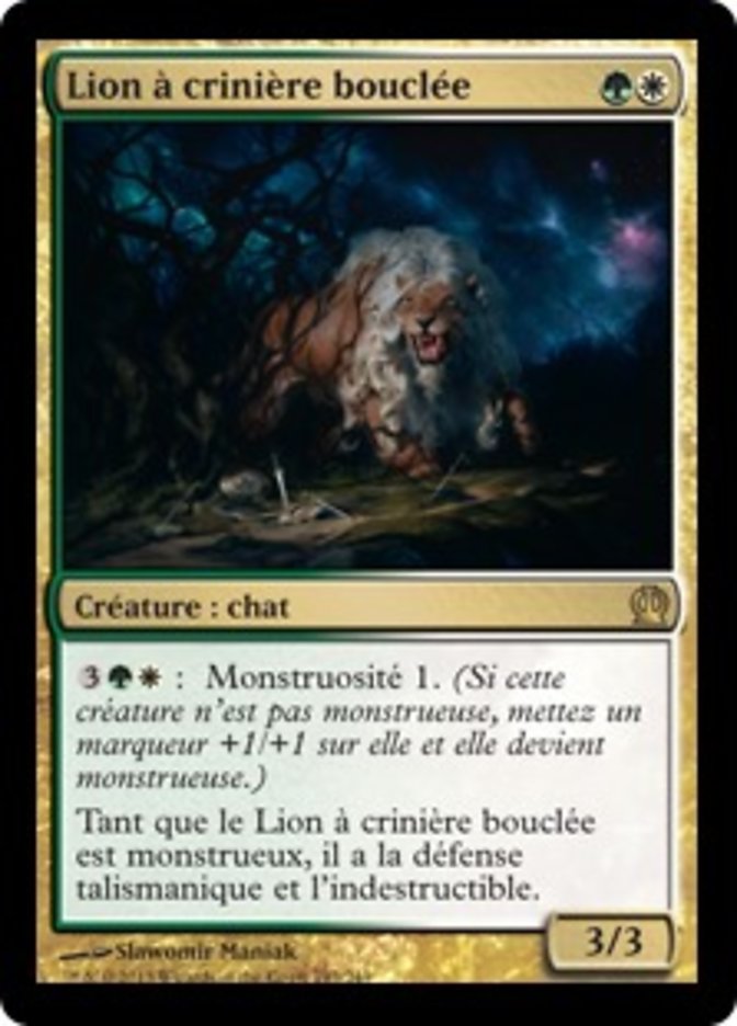 image Lion à crinière bouclée