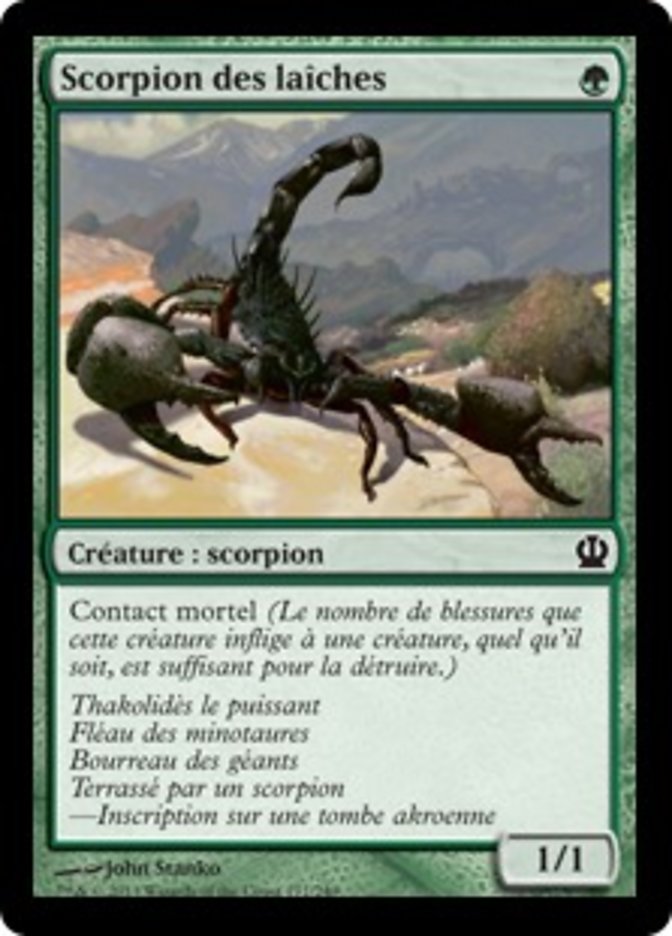 image Scorpion des laîches
