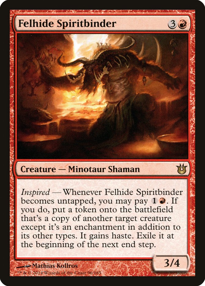 image Felhide Spiritbinder
