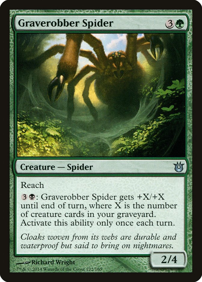 image Graverobber Spider