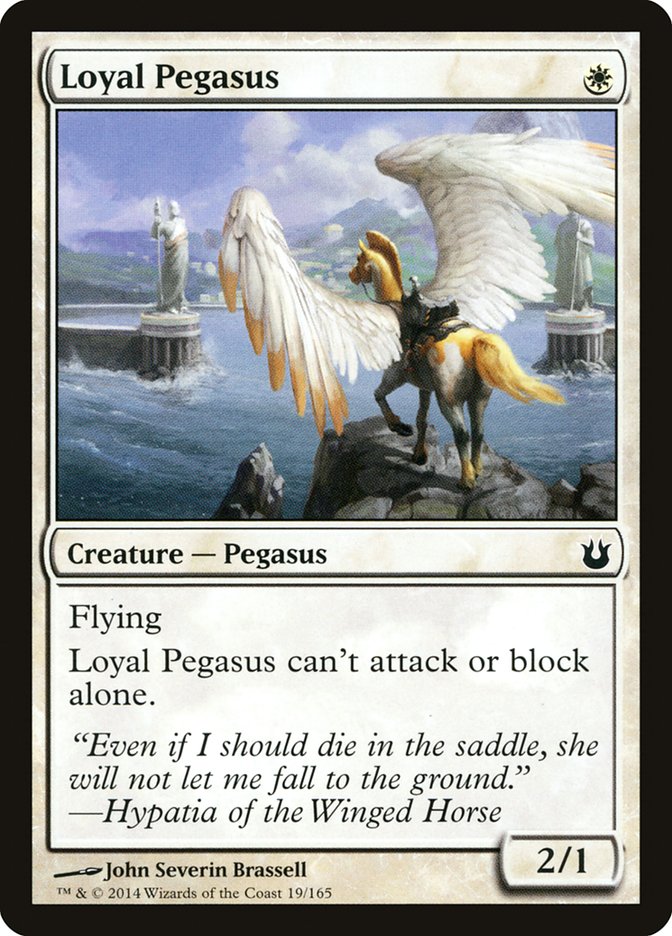 image Loyal Pegasus