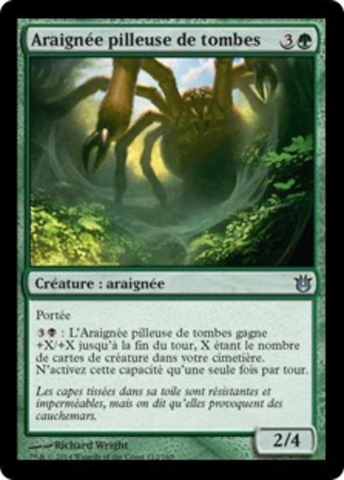 image Araignée pilleuse de tombes