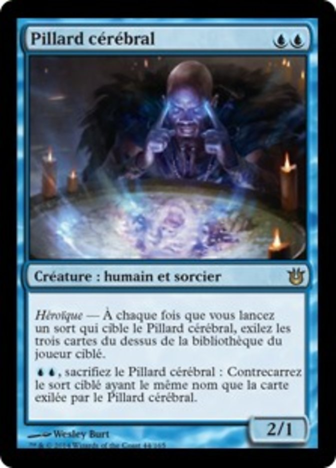 image Pillard cérébral