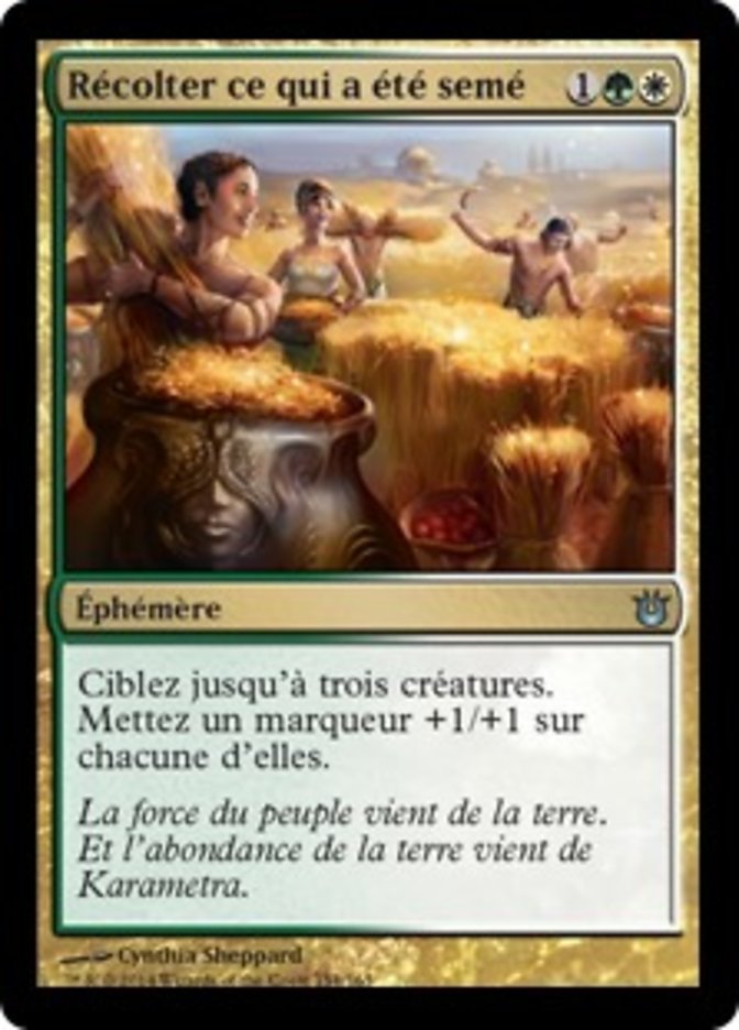 image Récolter ce qui a été semé