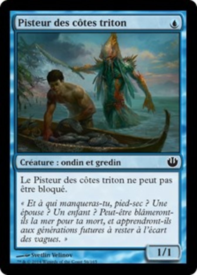 image Pisteur des côtes triton