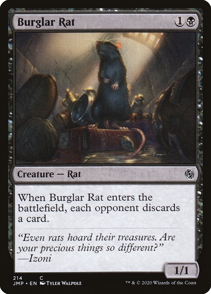 image Burglar Rat