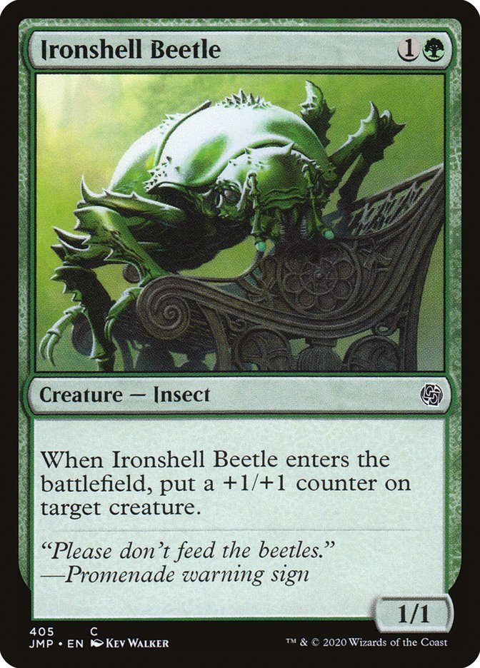 image Ironshell Beetle