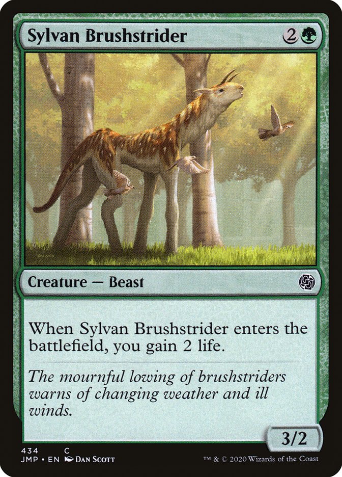 image Sylvan Brushstrider