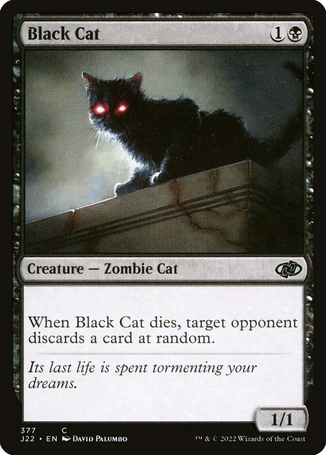 image Black Cat