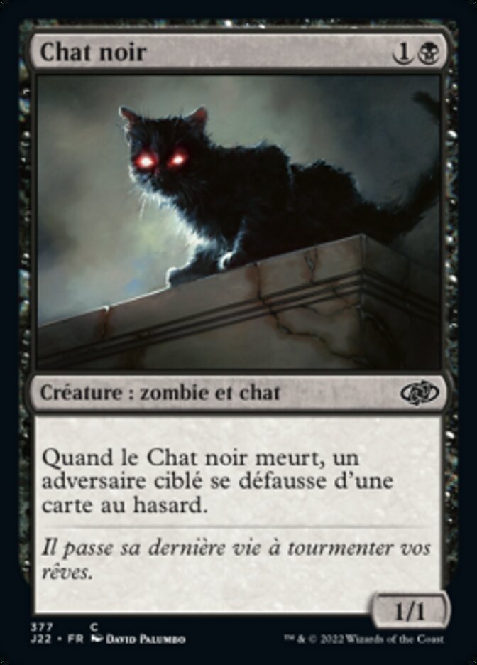 image Chat noir