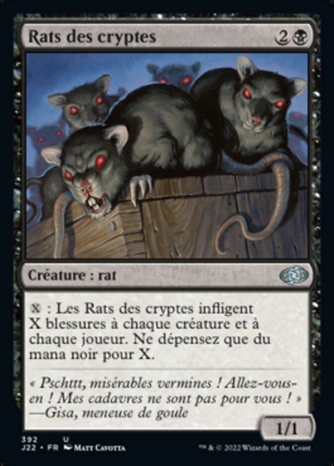 image Rats des cryptes