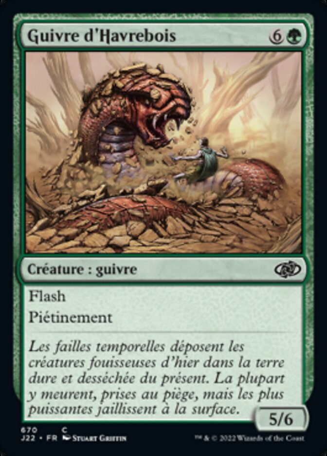 image Guivre d'Havrebois