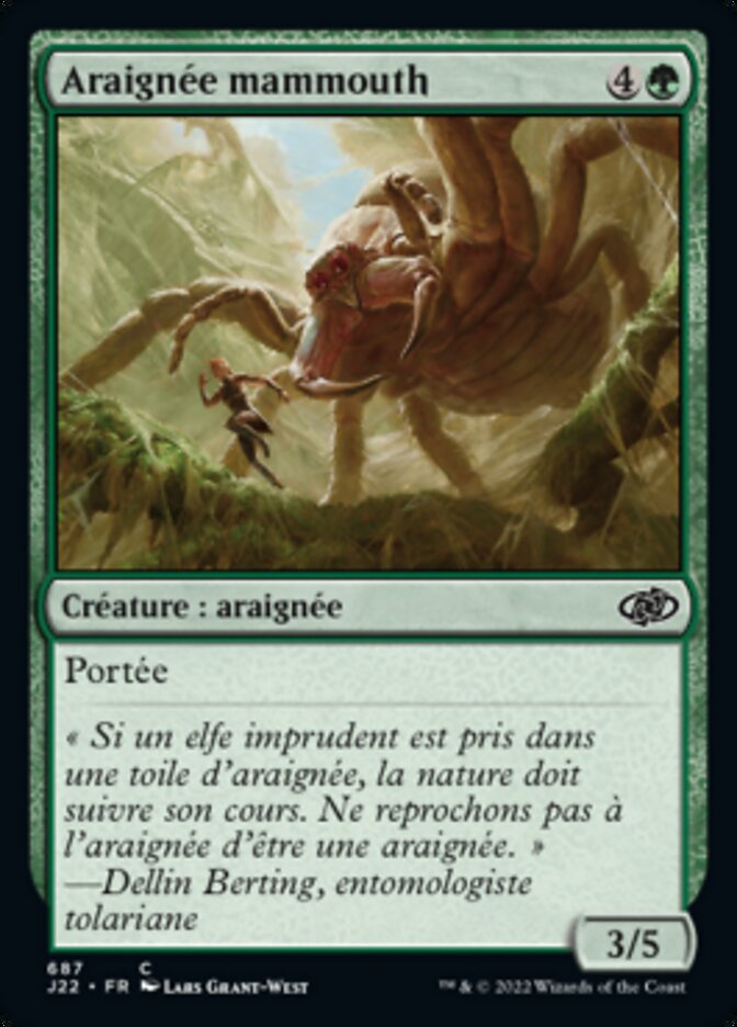 image Araignée mammouth