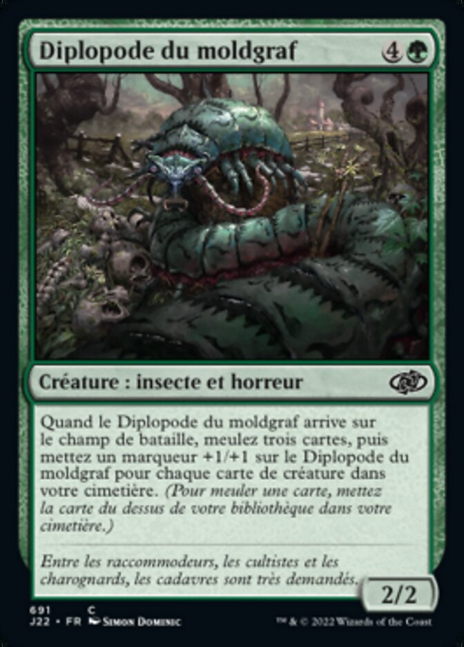 image Diplopode du moldgraf